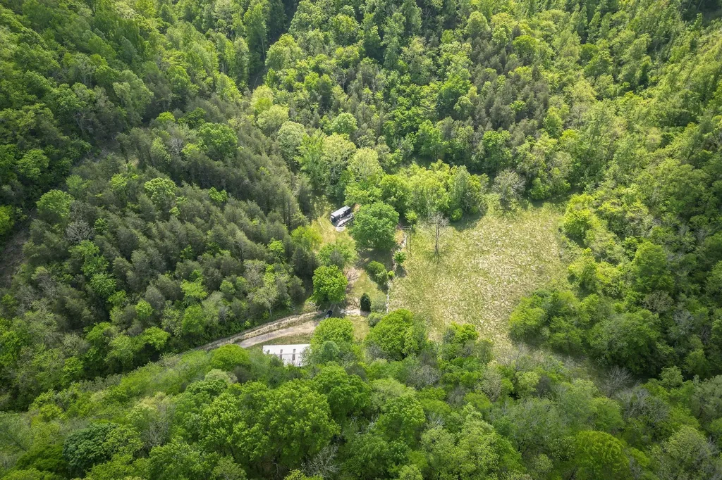 700 Ben Birdwell Lane Bloomington Springs TN 38545