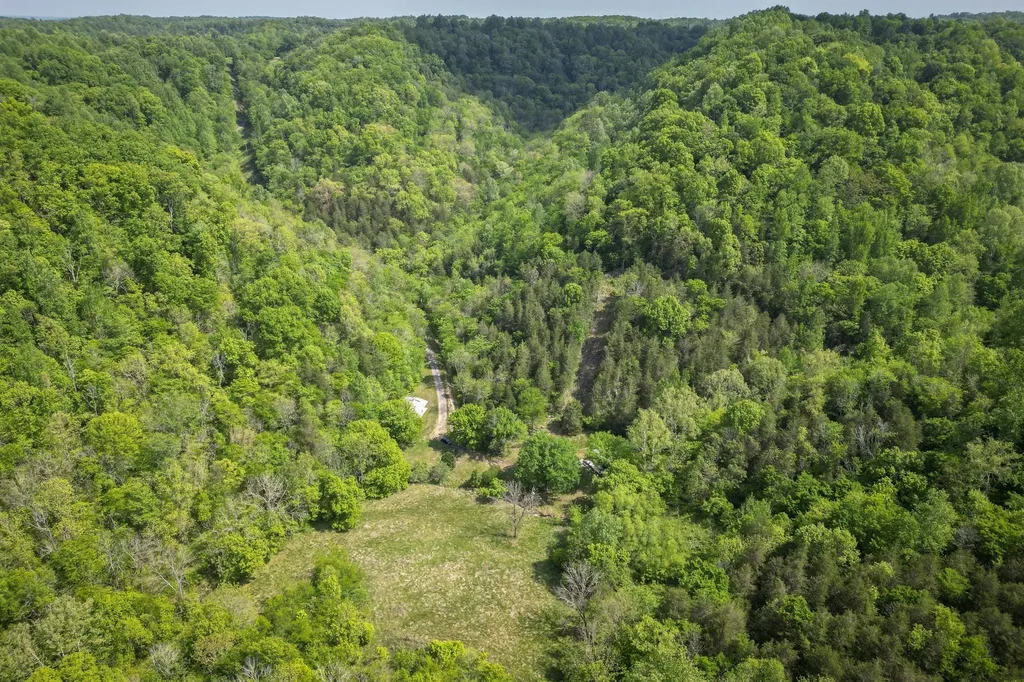 700 Ben Birdwell Lane Bloomington Springs TN 38545