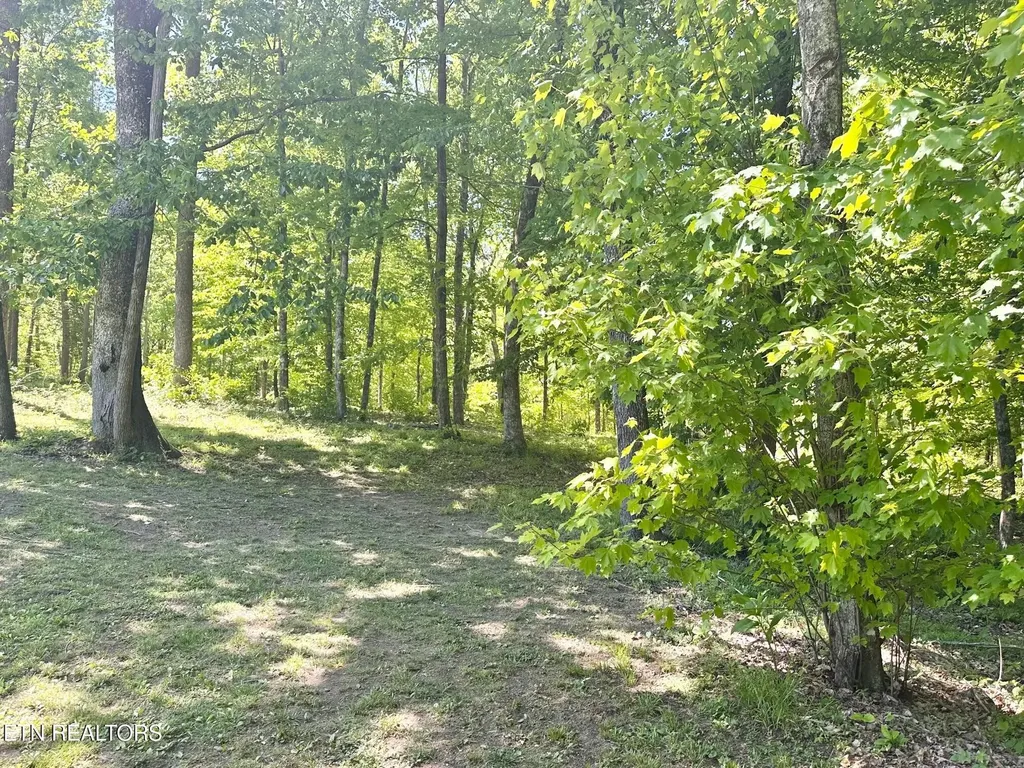 320 Reed Place Monterey TN 38574