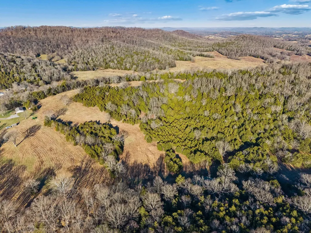 2370 Patton Hollow Road Watertown TN 37184