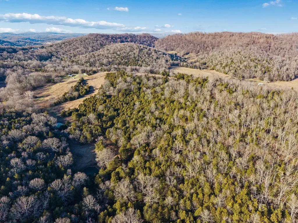 2370 Patton Hollow Road Watertown TN 37184