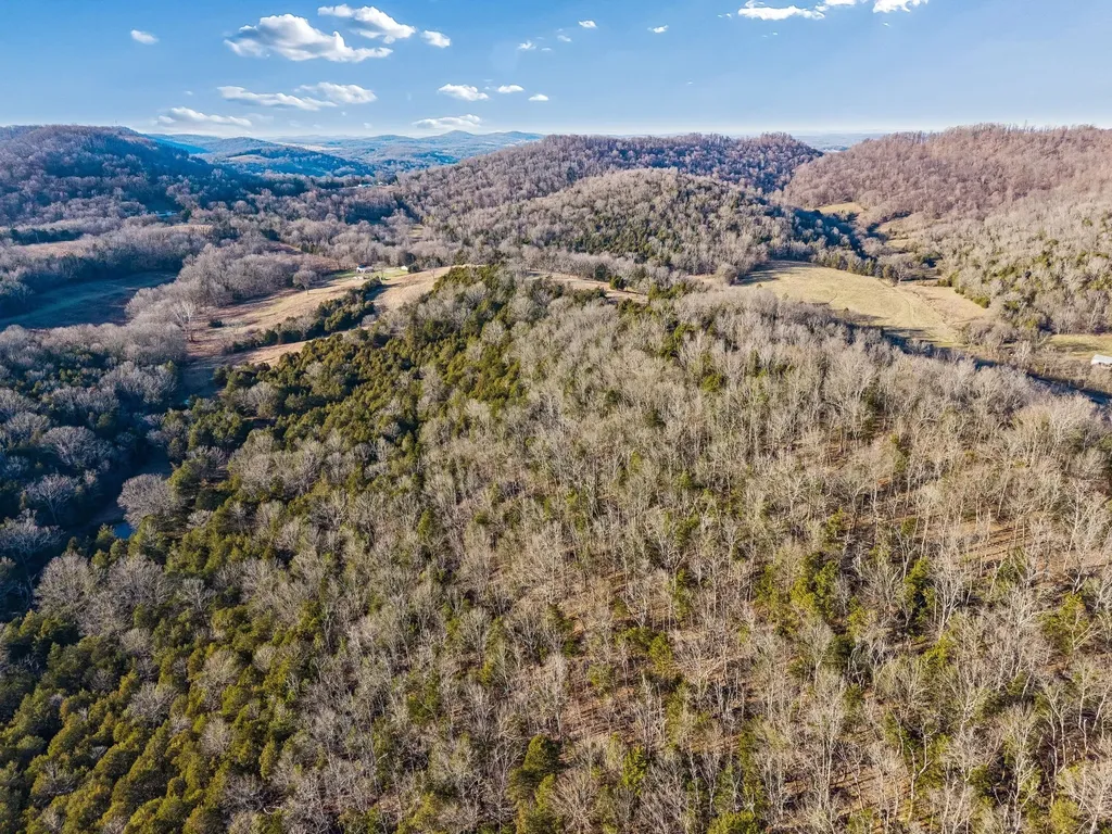 2370 Patton Hollow Road Watertown TN 37184