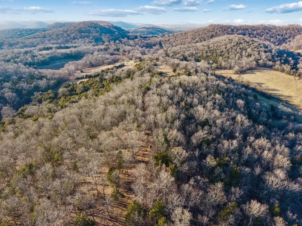 2370 Patton Hollow Road Watertown TN 37184