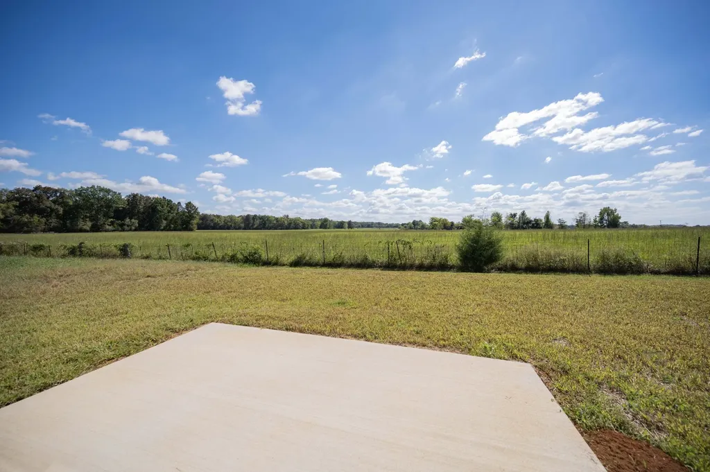 3407 Stonehorn Drive Bell Buckle TN 37020