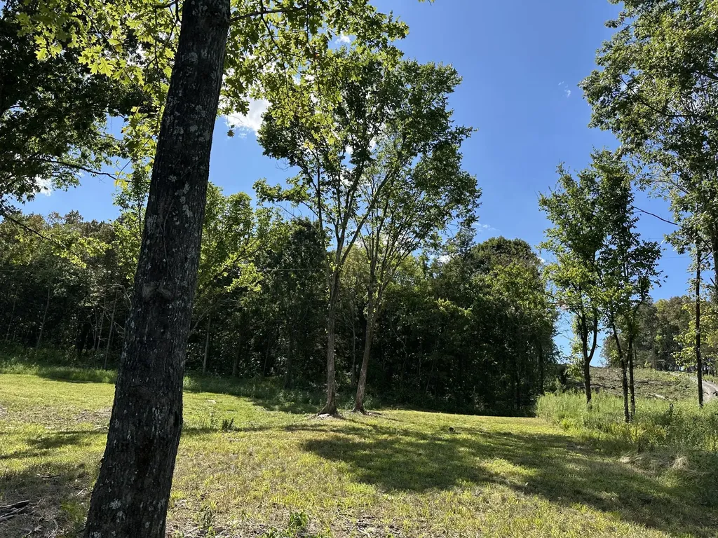 0 Atkinson Road Lebanon TN 37090