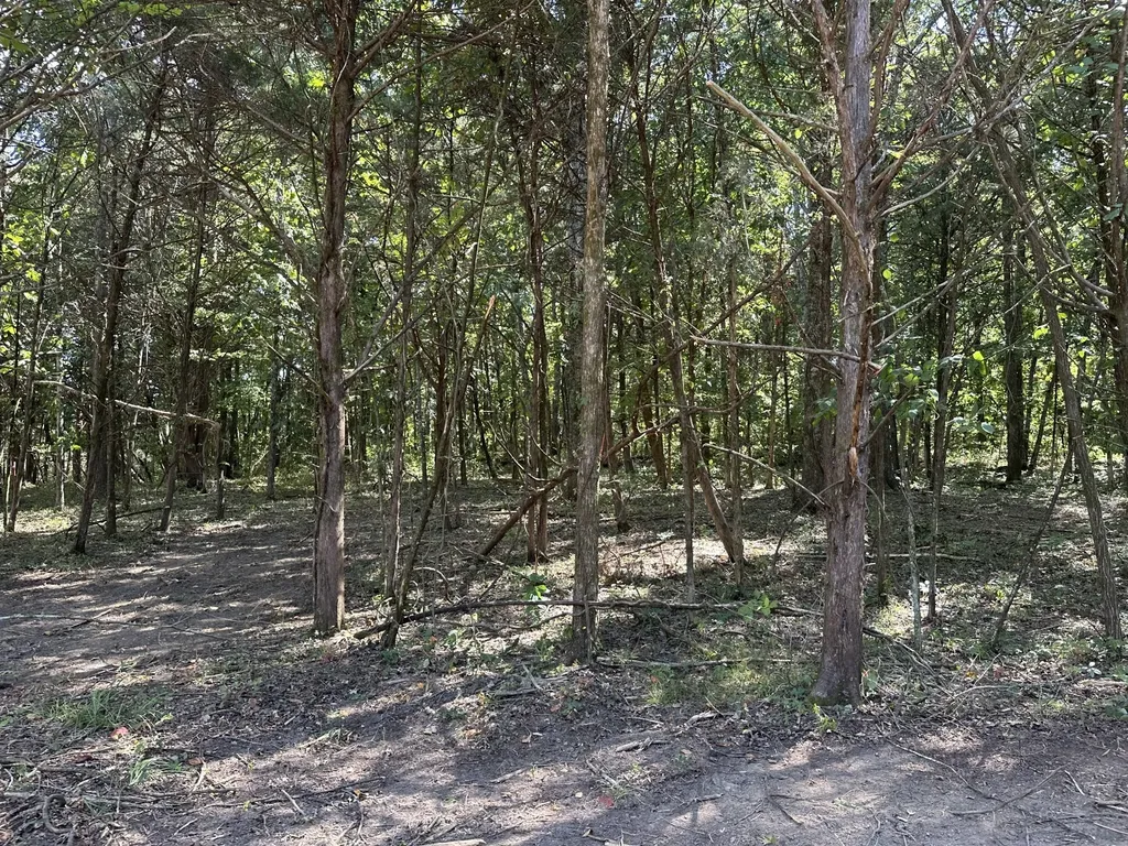 0 Atkinson Road Lebanon TN 37090