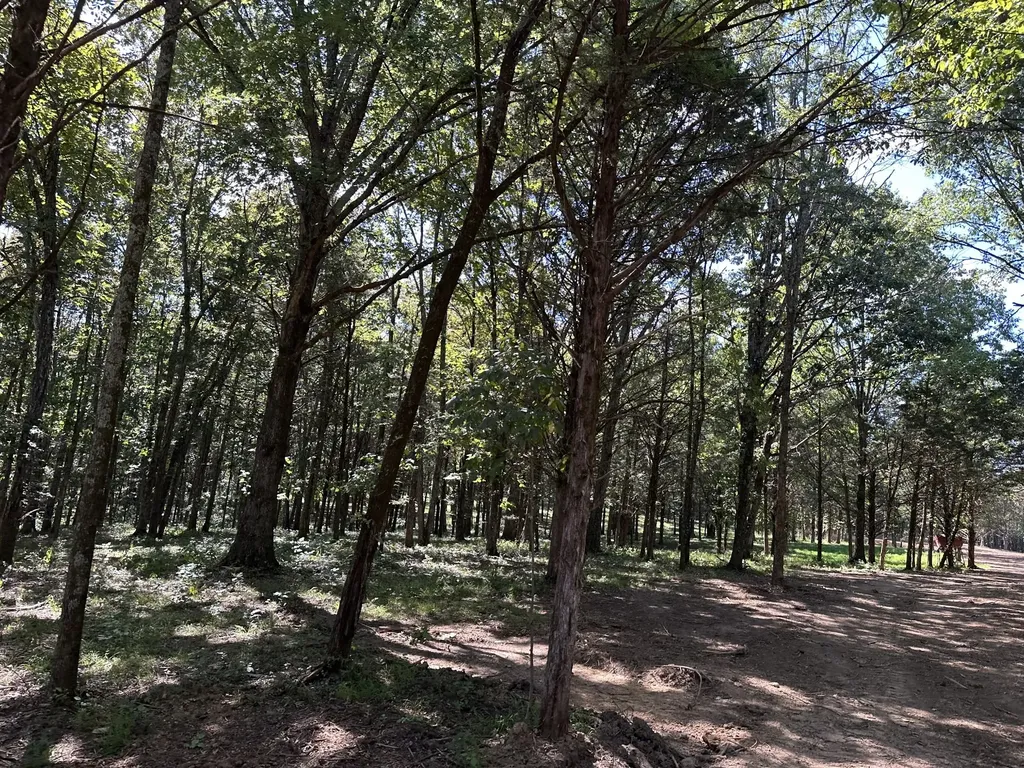 0 Atkinson Road Lebanon TN 37090