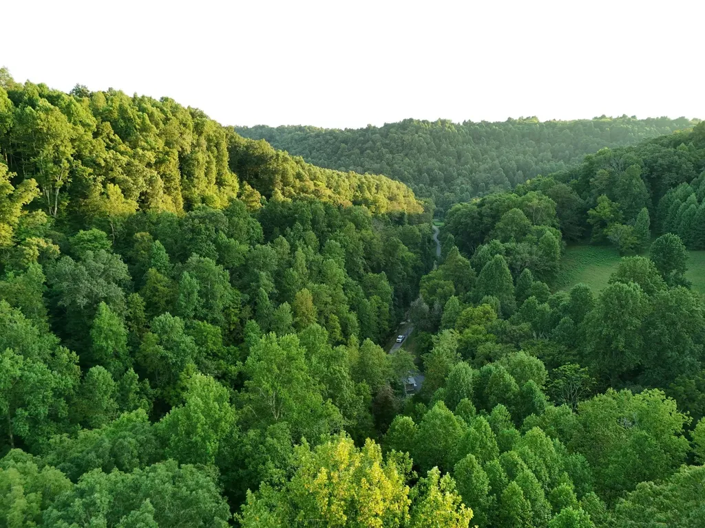 778 Jones Hollow Road Woodbury TN 37190