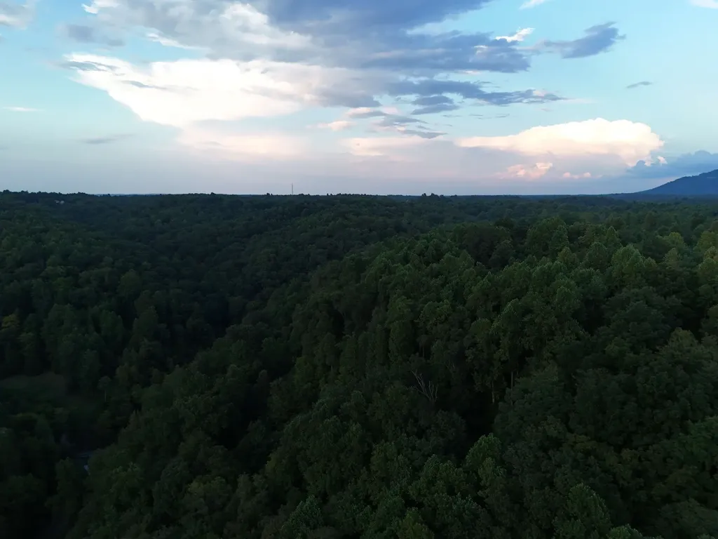 778 Jones Hollow Road Woodbury TN 37190