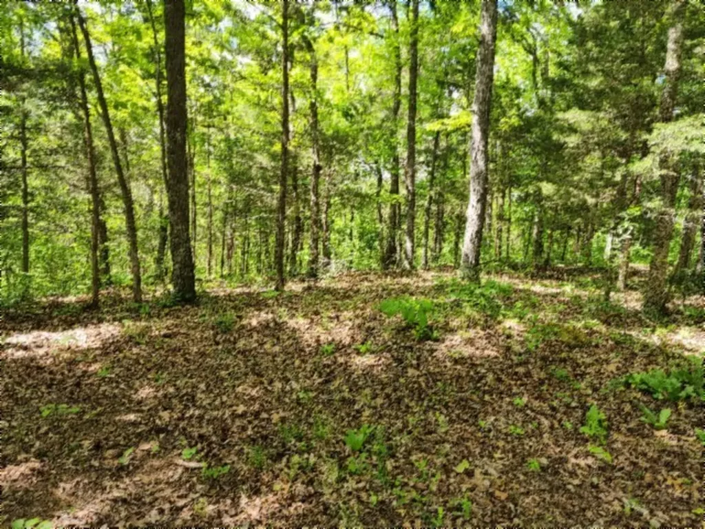 0 Froest Trail Celina TN 38551