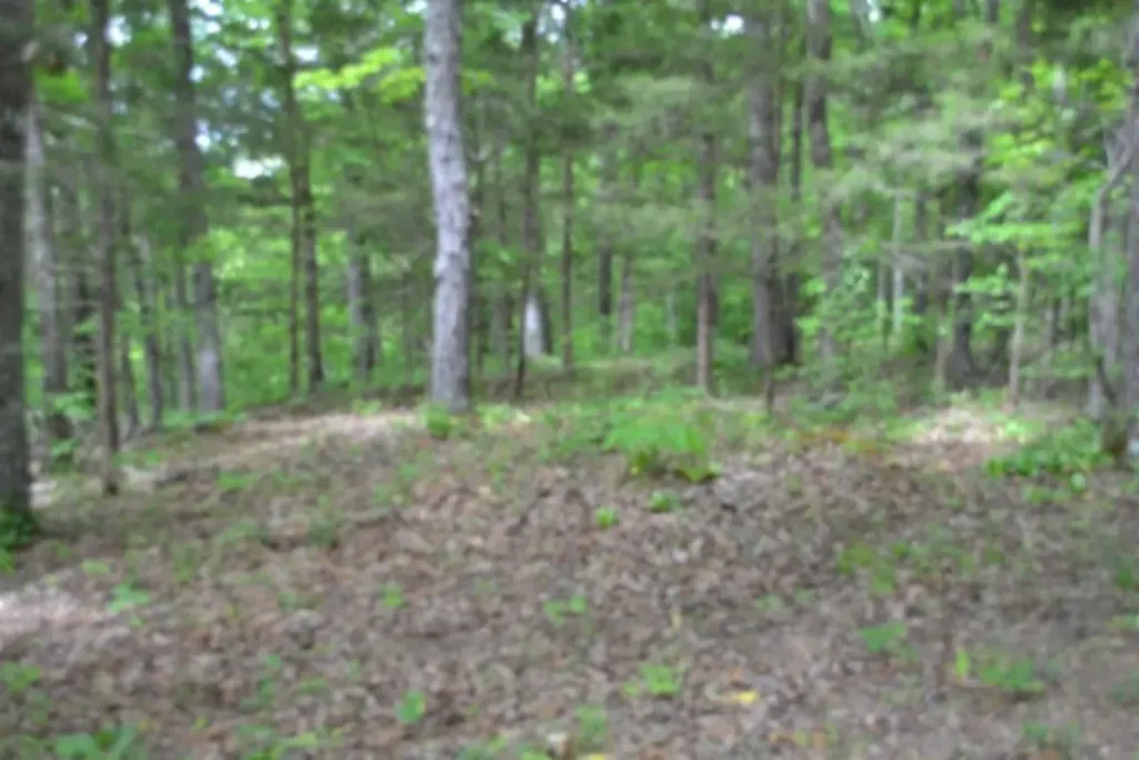 0 Froest Trail Celina TN 38551
