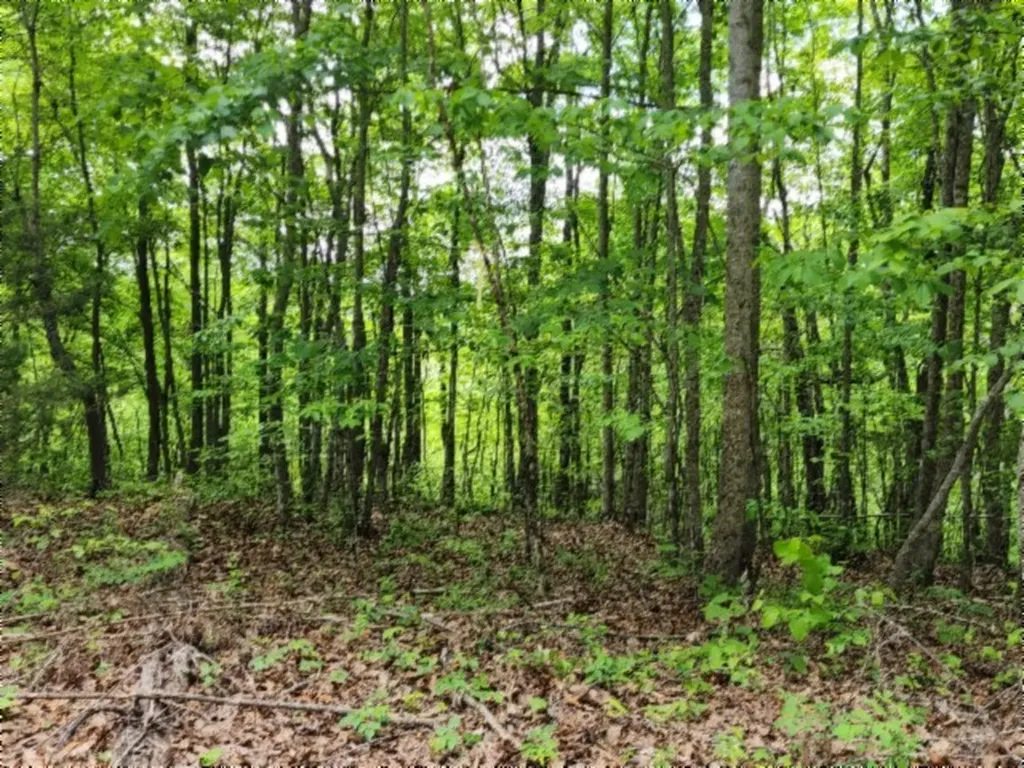 0 Froest Trail Celina TN 38551