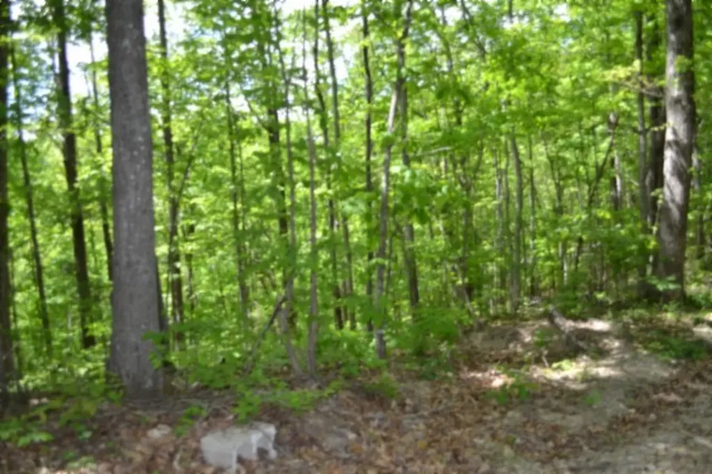 0 Froest Trail Celina TN 38551
