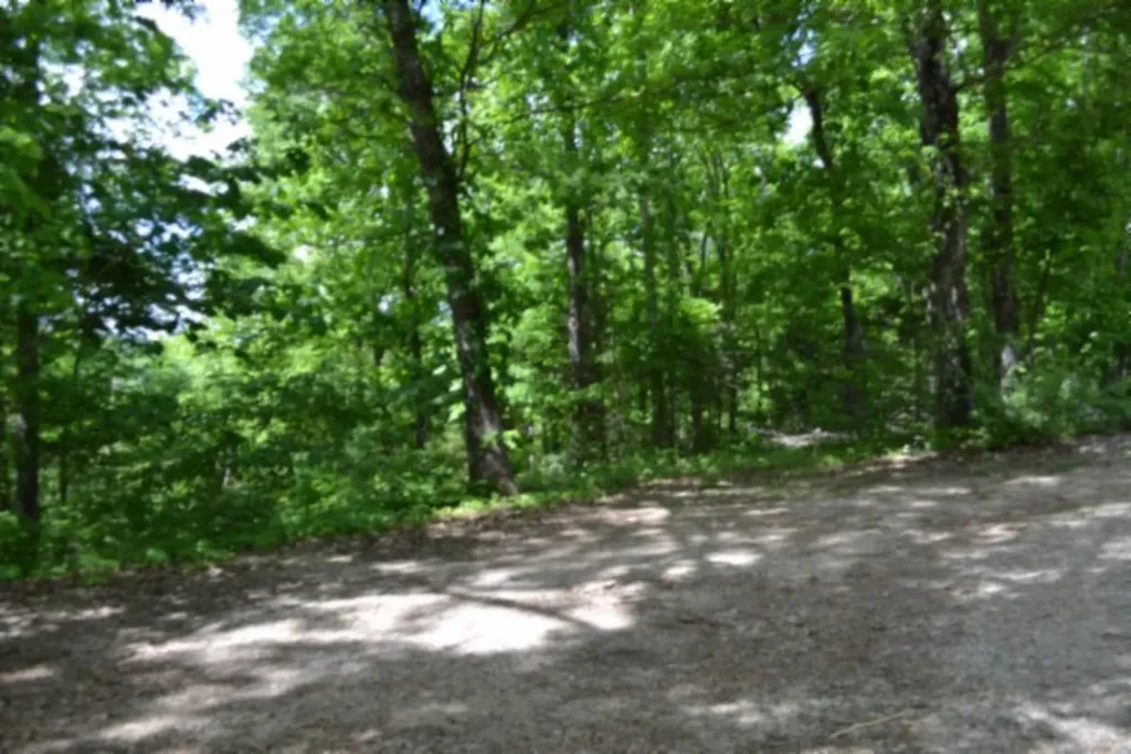0 Froest Trail Celina TN 38551