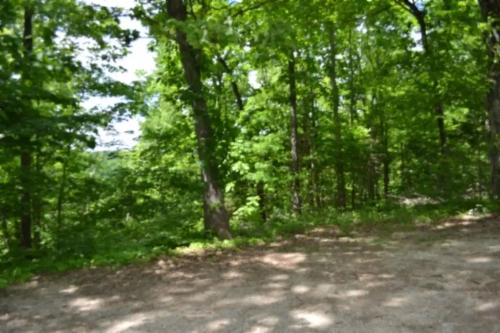 0 Froest Trail Celina TN 38551