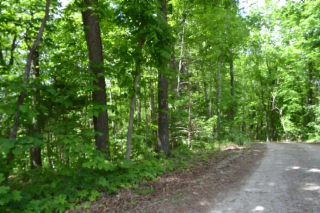 0 Froest Trail Celina TN 38551