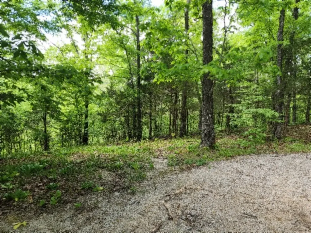 0 Froest Trail Celina TN 38551