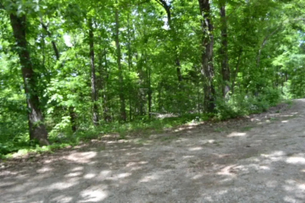 0 Froest Trail Celina TN 38551