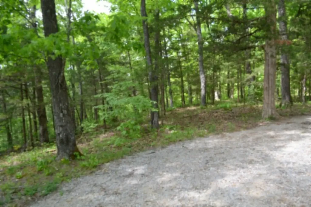0 Froest Trail Celina TN 38551