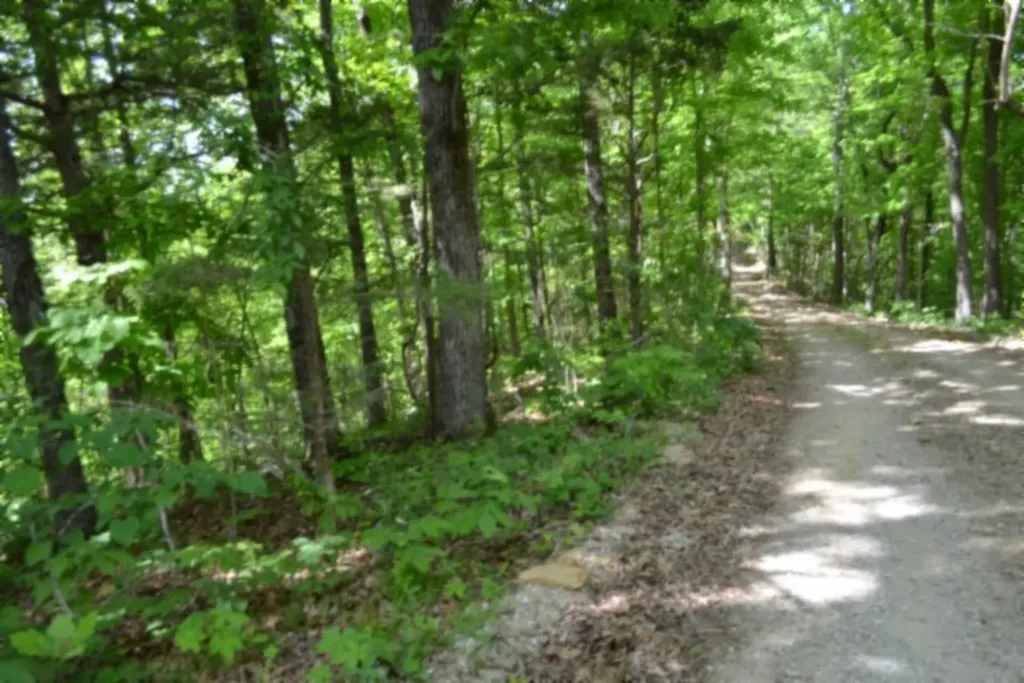 0 Froest Trail Celina TN 38551