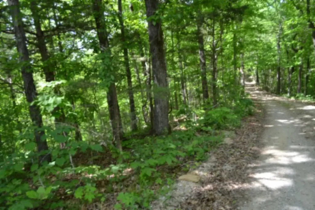 0 Froest Trail Celina TN 38551