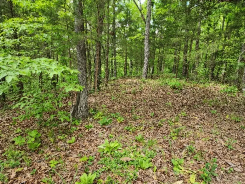 0 Froest Trail Celina TN 38551