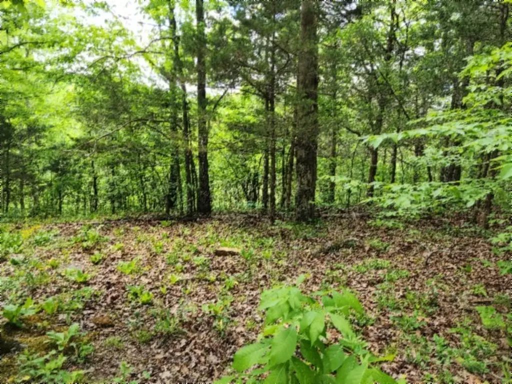 0 Froest Trail Celina TN 38551