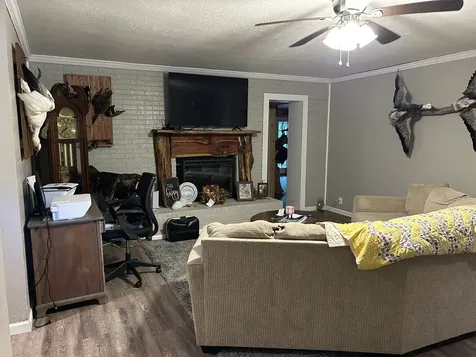 2867 Little Sulphur Creek Road Big Sandy TN 38221
