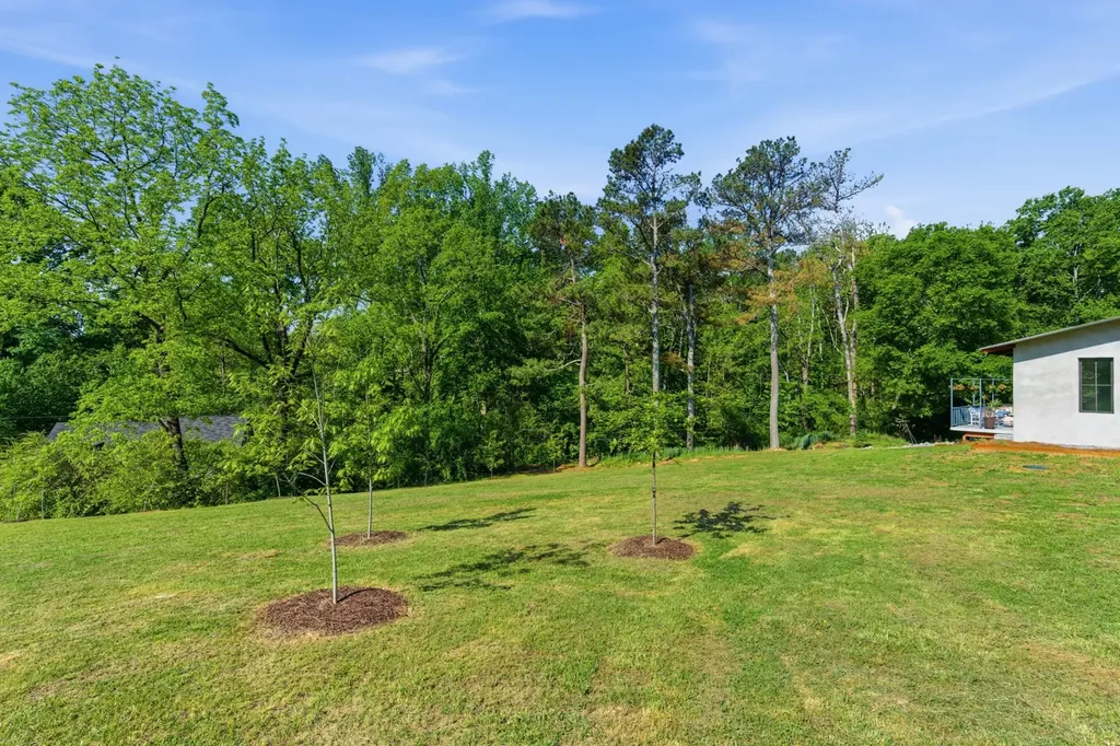 6438 Old Clarksville Pike Joelton TN 37080