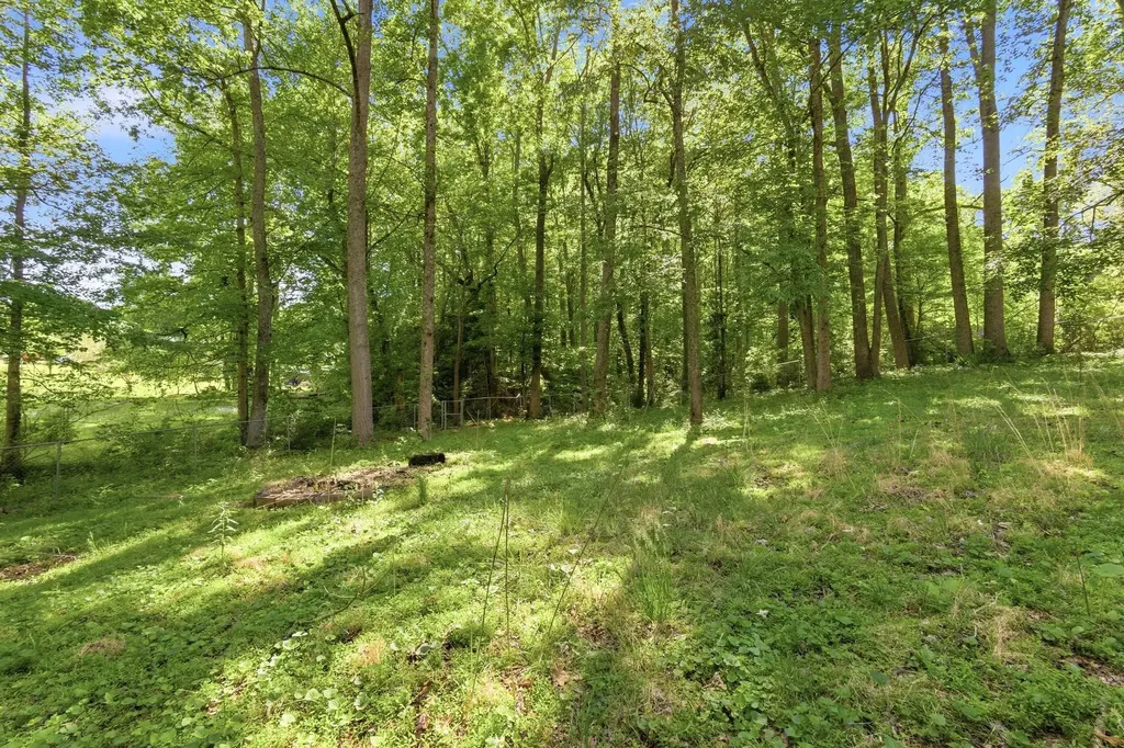 135 Peach Tree Circle Wartburg TN 37887