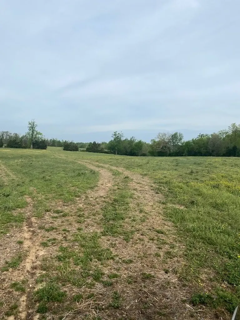 0 Johns Creek Road Lafayette TN 37083