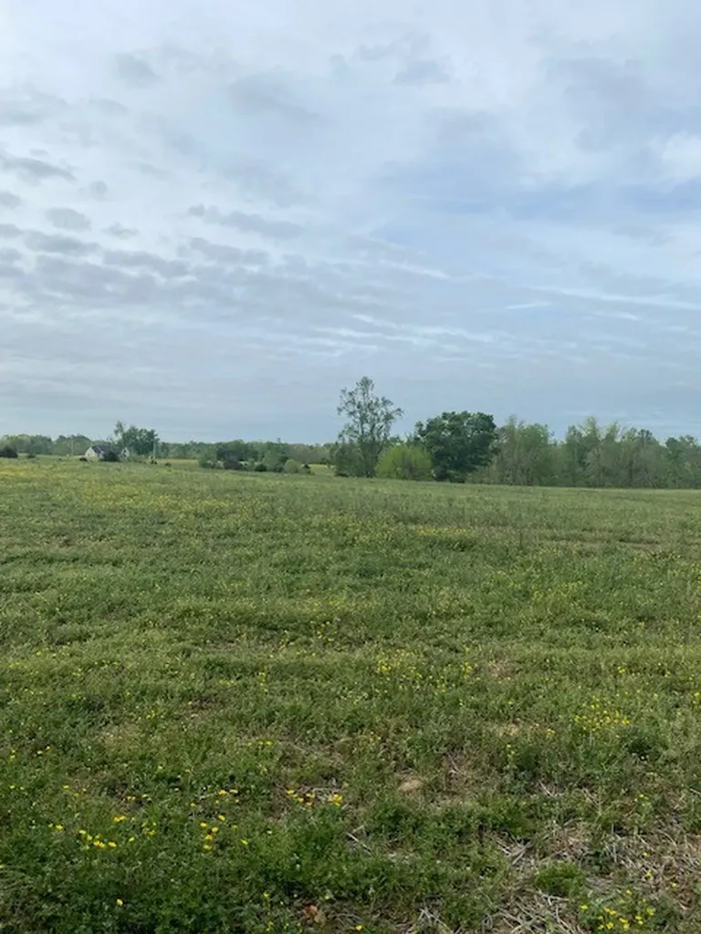 0 Johns Creek Road Lafayette TN 37083