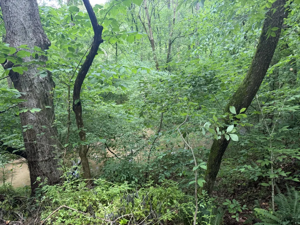 0 Glendale Road Jonesborough TN 37659