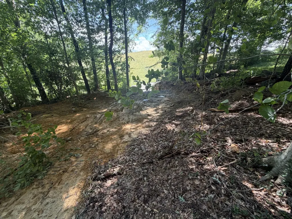 0 Glendale Road Jonesborough TN 37659