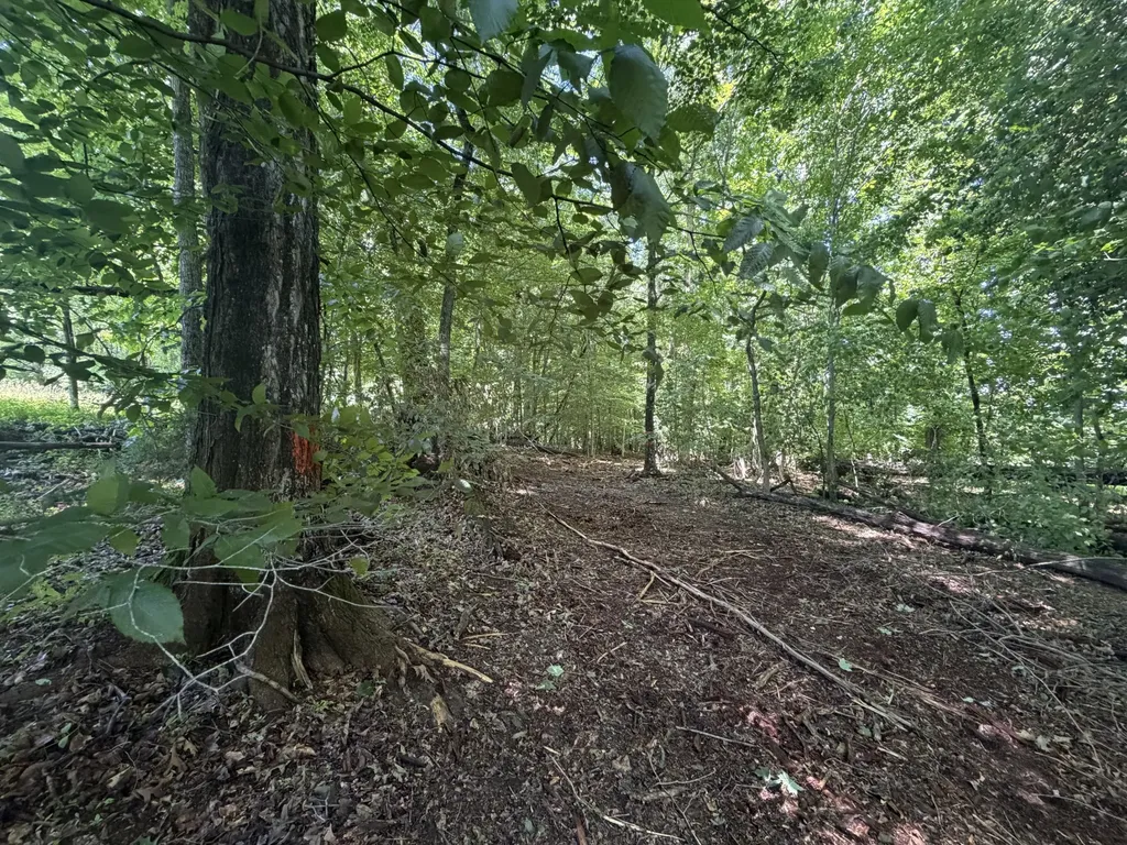 0 Glendale Road Jonesborough TN 37659