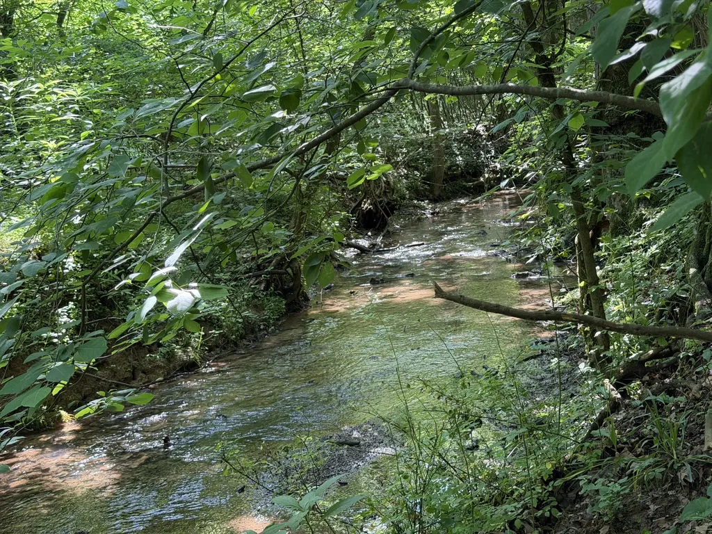 0 Glendale Road Jonesborough TN 37659