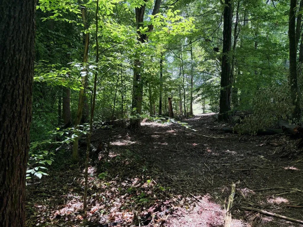 0 Glendale Road Jonesborough TN 37659