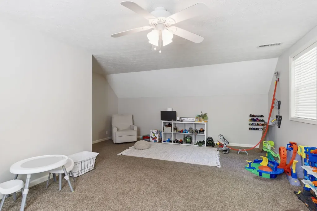 424 Tyler Court Cottontown TN 37048