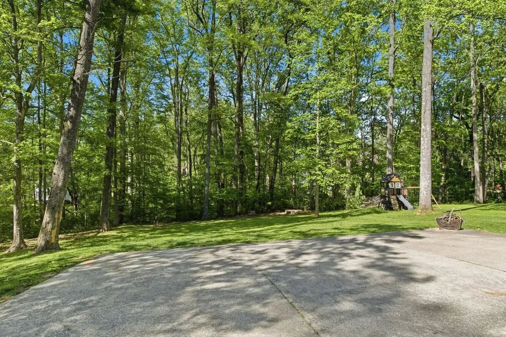 424 Tyler Court Cottontown TN 37048