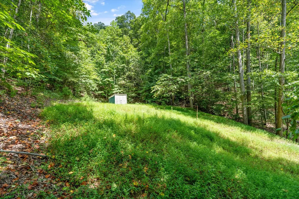 340 Parsons Shores Drive Sharps Chapel TN 37866