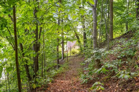 340 Parsons Shores Drive Sharps Chapel TN 37866