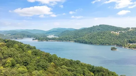 340 Parsons Shores Drive Sharps Chapel TN 37866