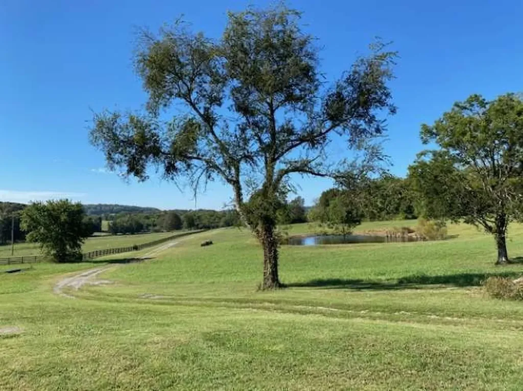 4243 Beech Log Road Lebanon TN 37090