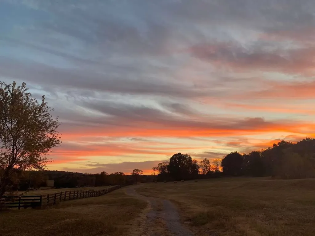 4243 Beech Log Road Lebanon TN 37090