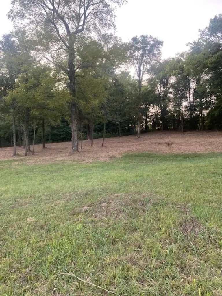 4243 Beech Log Road Lebanon TN 37090