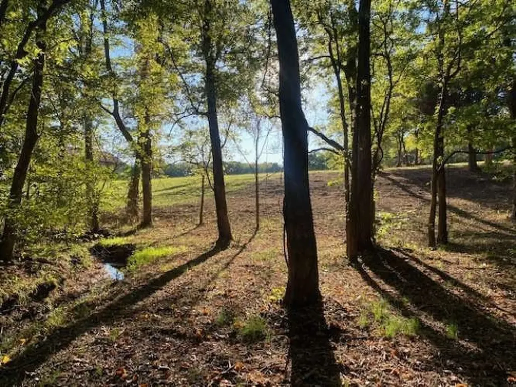 4243 Beech Log Road Lebanon TN 37090