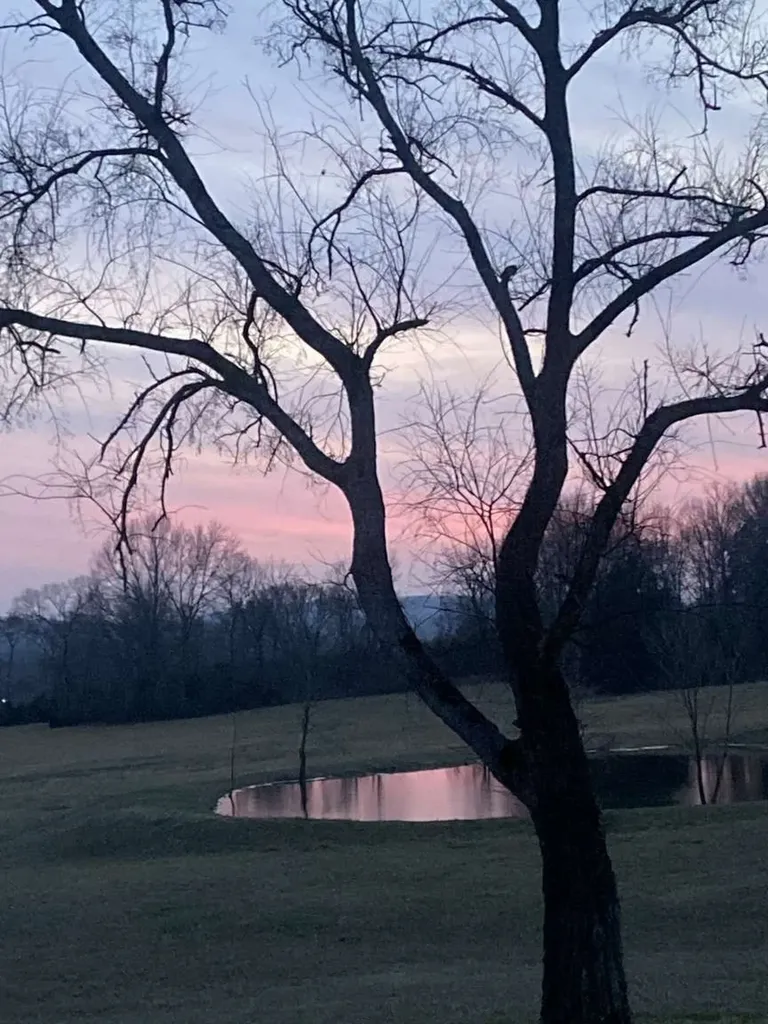 4243 Beech Log Road Lebanon TN 37090