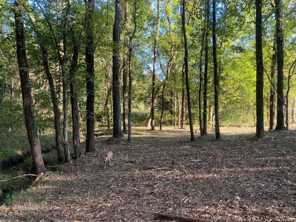 4243 Beech Log Road Lebanon TN 37090