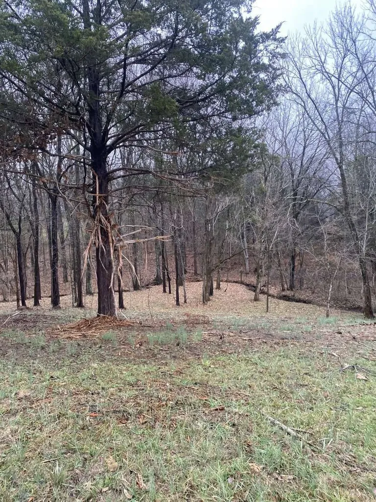 4243 Beech Log Road Lebanon TN 37090