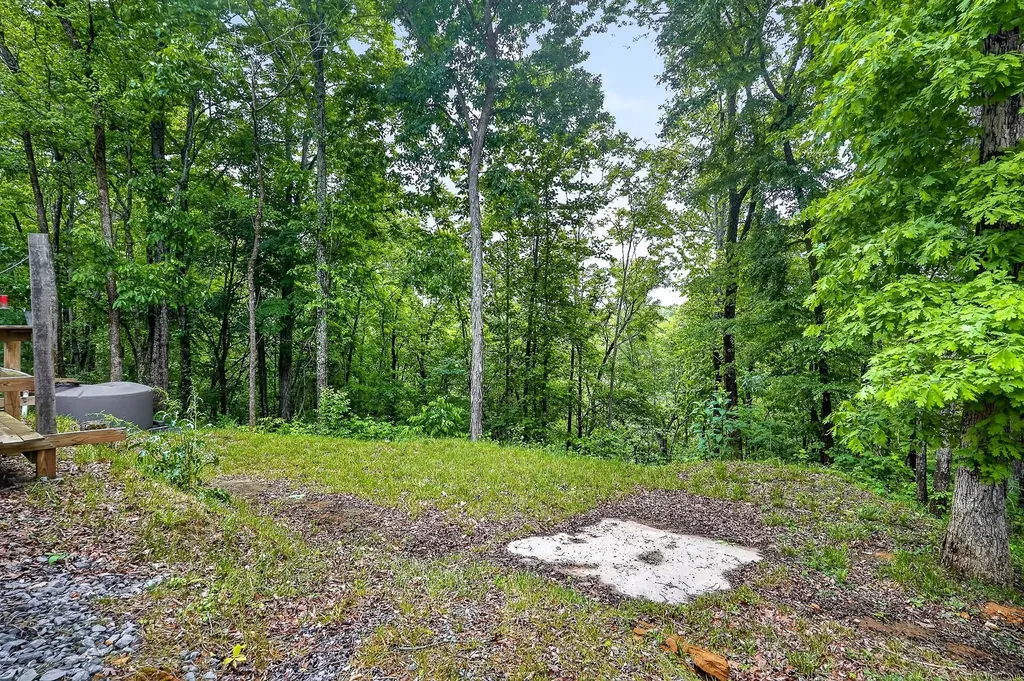 853 Rock Springs Road Celina TN 38551